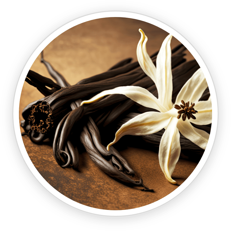 Vanilla Planifolia Fruit Extract